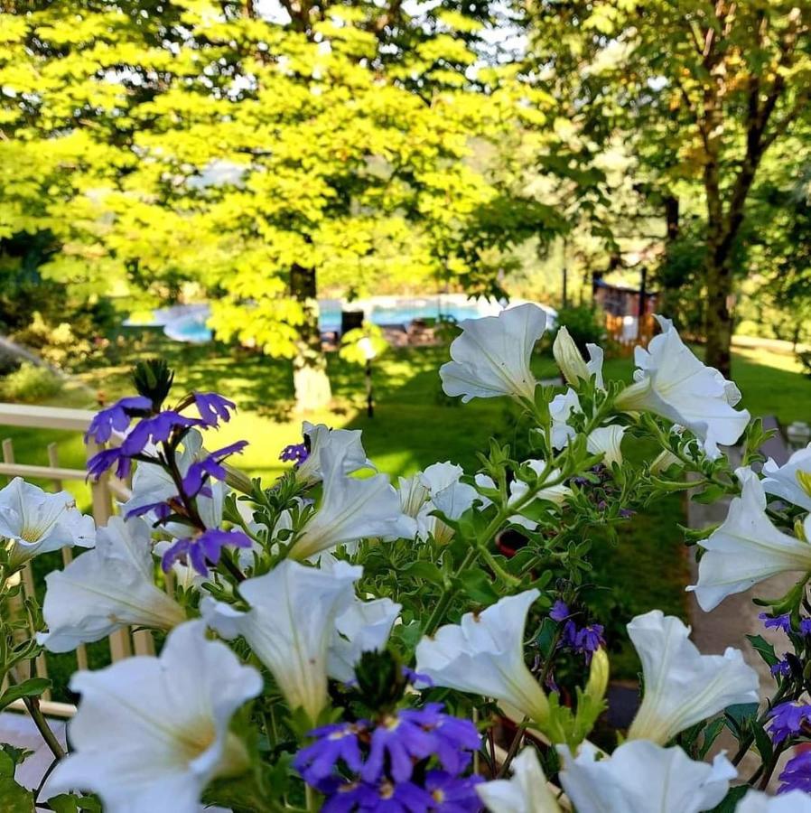 Villa Giuliana B&B สการ์เปริอา ภายนอก รูปภาพ